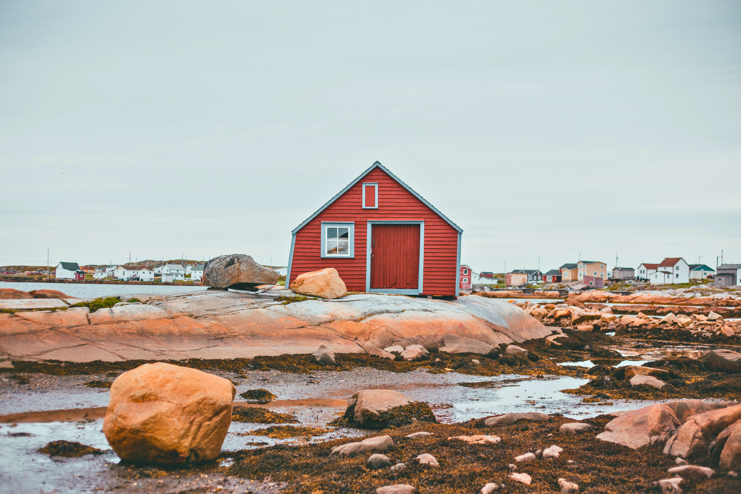 eastern newfoundland, newfoundland and labrador (2).webp